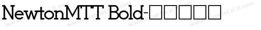 NewtonMTT Bold字体转换